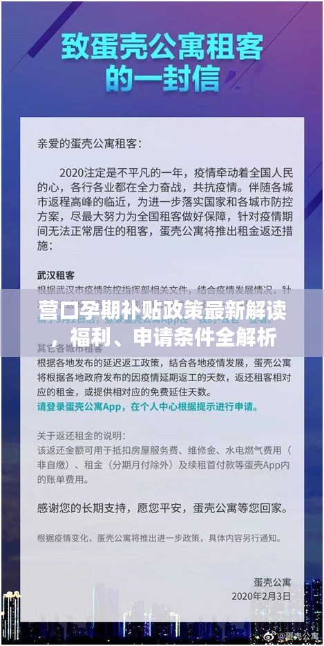营口孕期补贴政策最新解读，福利、申请条件全解析
