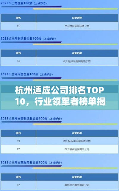 杭州适应公司排名TOP10，行业领军者榜单揭晓