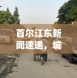 首尔江东新闻速递，城市发展的前沿动态引领者