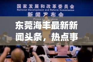 东莞海丰最新新闻头条，热点事件一网打尽