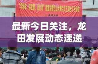 最新今日关注，龙田发展动态速递