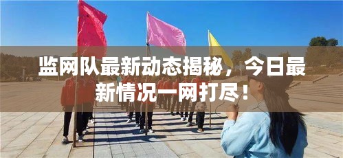 监网队最新动态揭秘，今日最新情况一网打尽！