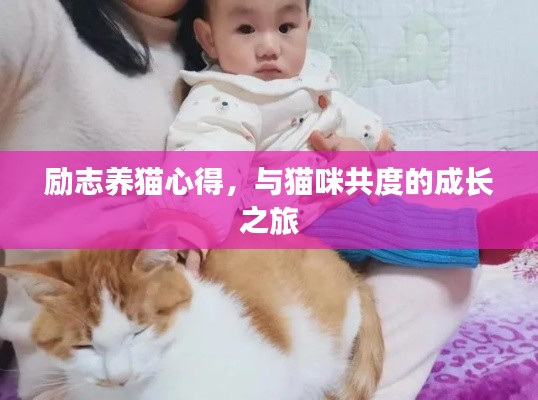 励志养猫心得，与猫咪共度的成长之旅