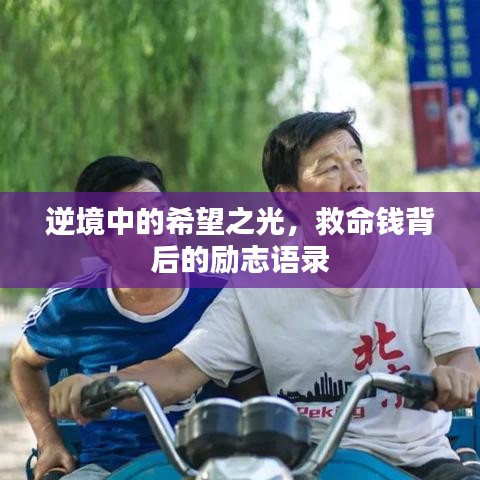 逆境中的希望之光，救命钱背后的励志语录