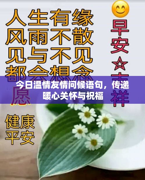 今日温情友情问候语句，传递暖心关怀与祝福