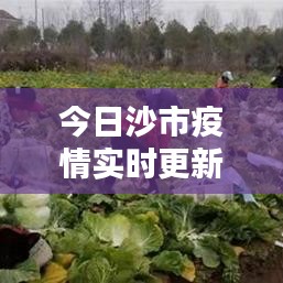 今日沙市疫情实时更新，最新消息汇总
