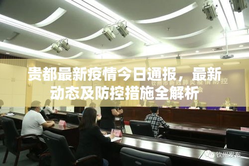 贵都最新疫情今日通报，最新动态及防控措施全解析