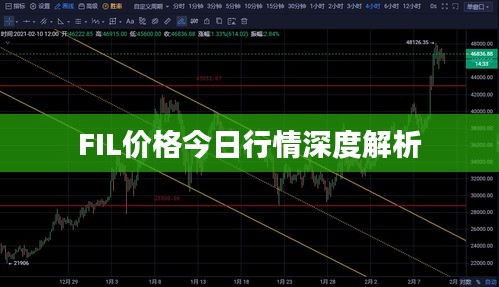 FIL价格今日行情深度解析