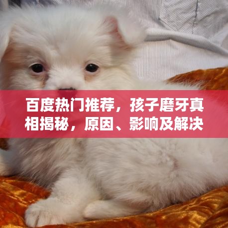 百度热门推荐，孩子磨牙真相揭秘，原因、影响及解决策略全解析