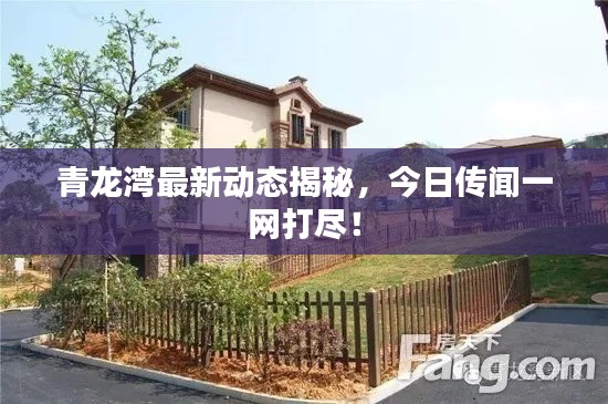 青龙湾最新动态揭秘，今日传闻一网打尽！
