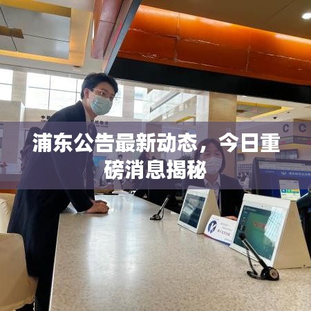 浦东公告最新动态，今日重磅消息揭秘