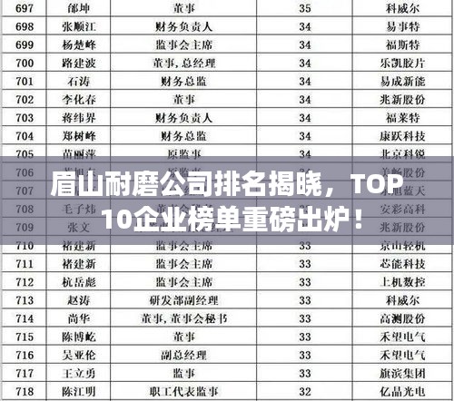 眉山耐磨公司排名揭晓，TOP 10企业榜单重磅出炉！