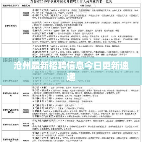 沧州最新招聘信息今日更新速递