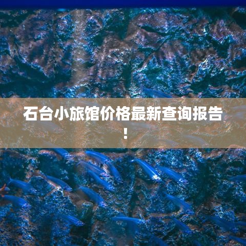 石台小旅馆价格最新查询报告！