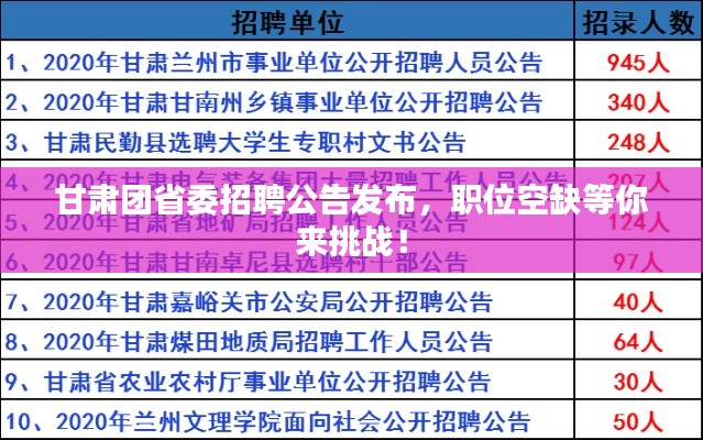 甘肃团省委招聘公告发布，职位空缺等你来挑战！
