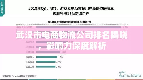 武汉市电商物流公司排名揭晓，影响力深度解析