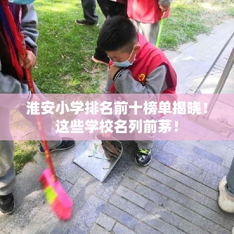 淮安小学排名前十榜单揭晓！这些学校名列前茅！