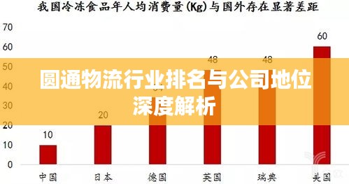 圆通物流行业排名与公司地位深度解析