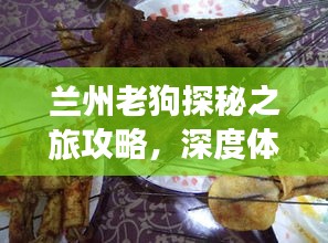 兰州老狗探秘之旅攻略，深度体验古城韵味与美食风情