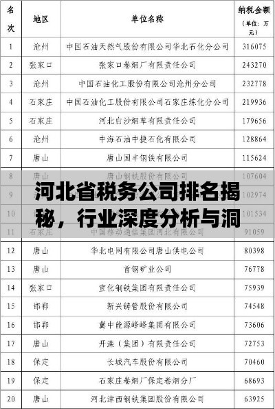 河北省税务公司排名揭秘，行业深度分析与洞察