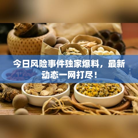 今日风险事件独家爆料，最新动态一网打尽！
