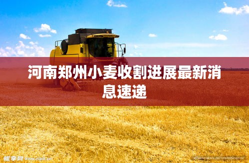 继晷焚膏 第2页