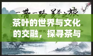 茶叶的世界与文化的交融，探寻茶与文明的深度对话之旅