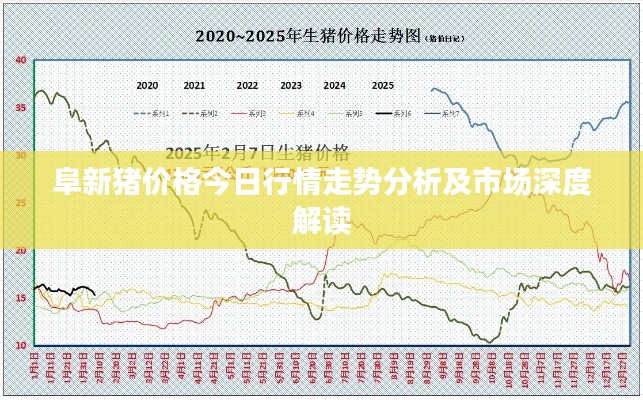 阜新猪价格今日行情走势分析及市场深度解读