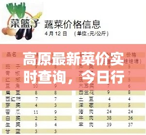 高原最新菜价实时查询，今日行情速递