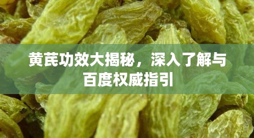 黄芪功效大揭秘，深入了解与百度权威指引
