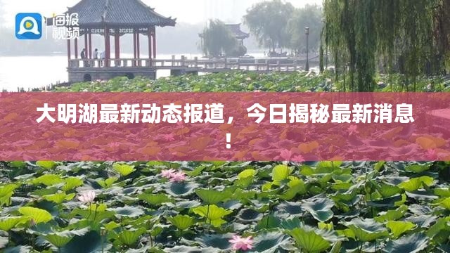 大明湖最新动态报道，今日揭秘最新消息！