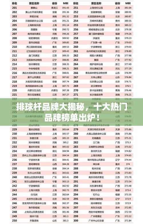 排球杆品牌大揭秘，十大热门品牌榜单出炉！
