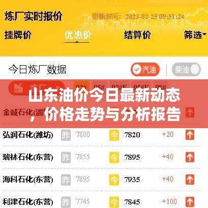 山东油价今日最新动态，价格走势与分析报告