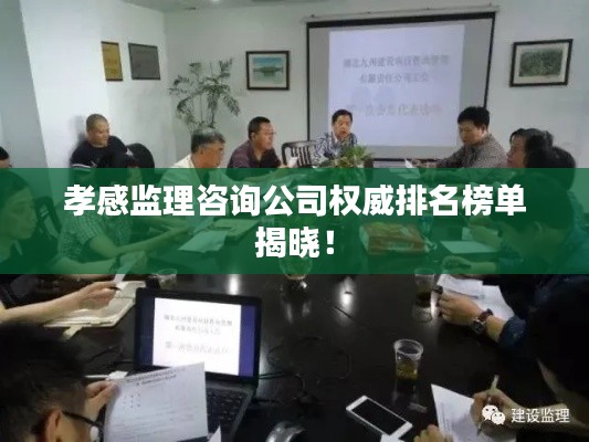 孝感监理咨询公司权威排名榜单揭晓！