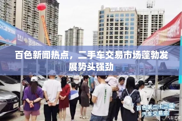 择善而从 第2页