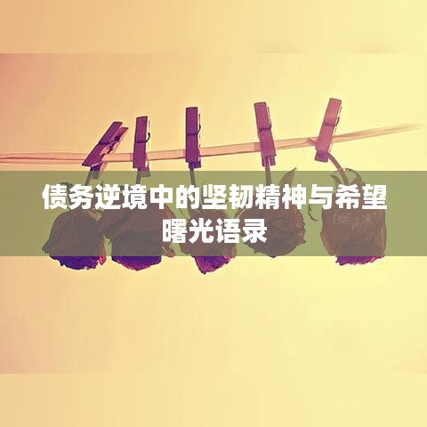 债务逆境中的坚韧精神与希望曙光语录