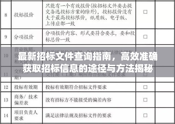 最新招标文件查询指南，高效准确获取招标信息的途径与方法揭秘