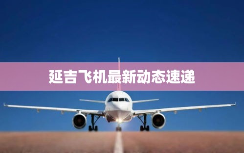 延吉飞机最新动态速递