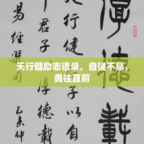 天行健励志语录，自强不息，勇往直前