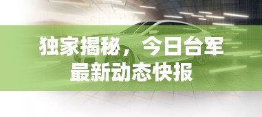 独家揭秘，今日台军最新动态快报