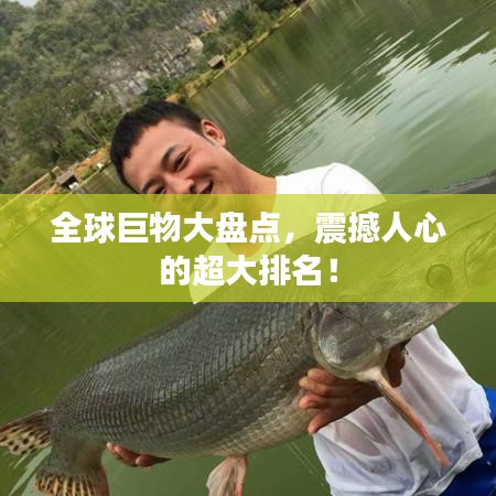 全球巨物大盘点，震撼人心的超大排名！