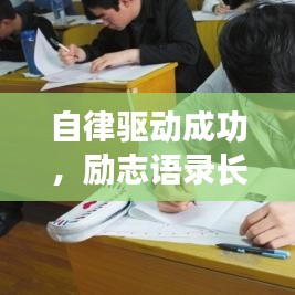 自律驱动成功，励志语录长视频，探寻自我驱动的力量之源