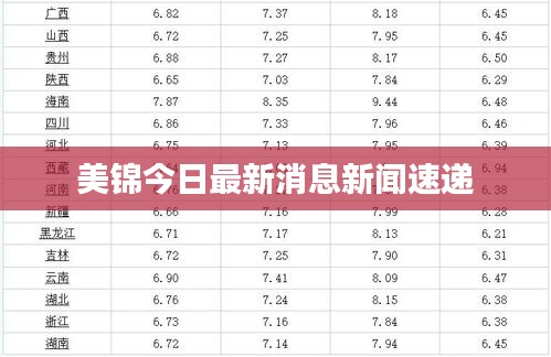 美锦今日最新消息新闻速递