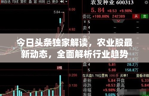 今日头条独家解读，农业股最新动态，全面解析行业趋势