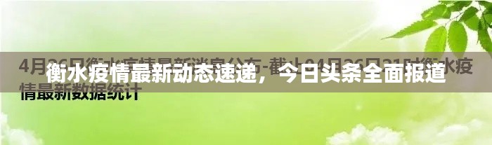 衡水疫情最新动态速递，今日头条全面报道