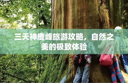 三天神鹿峰旅游攻略，自然之美的极致体验