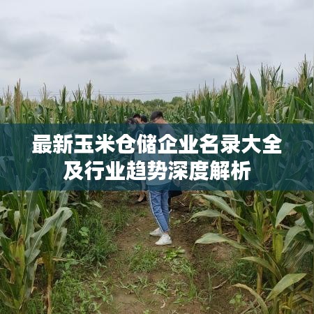 最新玉米仓储企业名录大全及行业趋势深度解析