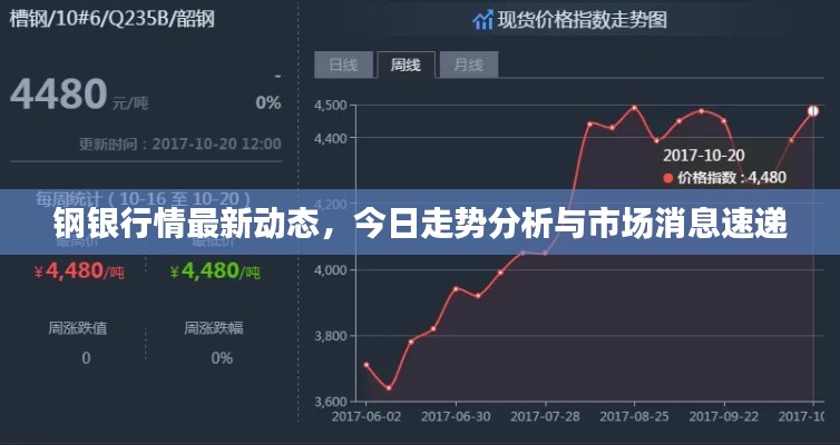 钢银行情最新动态，今日走势分析与市场消息速递