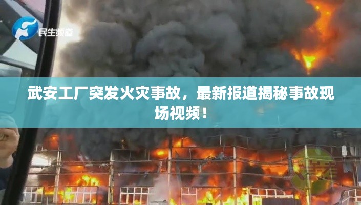 武安工厂突发火灾事故，最新报道揭秘事故现场视频！