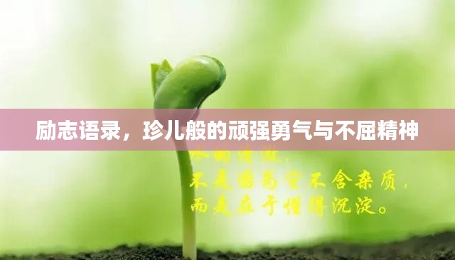 励志语录，珍儿般的顽强勇气与不屈精神